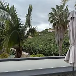 فيلة Felicidade أركو دا كالهيتا