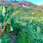 Felicidade أركو دا كالهيتا