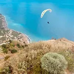 فيلة Felicidade أركو دا كالهيتا