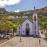 Felicidade فيلة *
