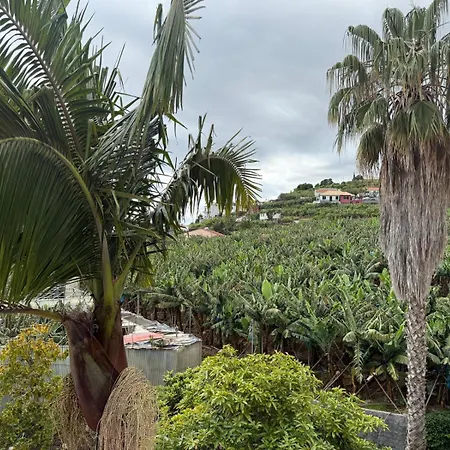 Felicidade Villa