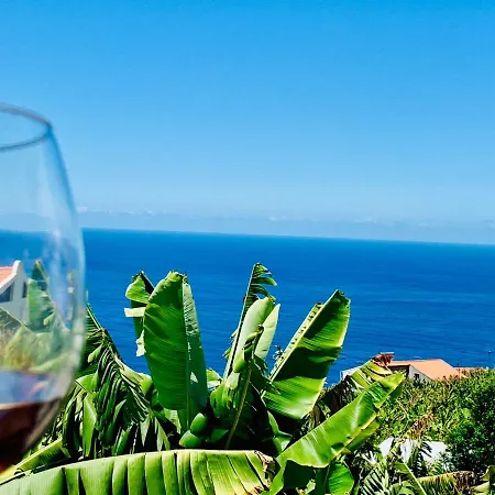 Felicidade * Arco da Calheta