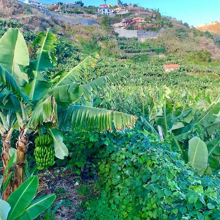 Felicidade Arco da Calheta (Madeira)