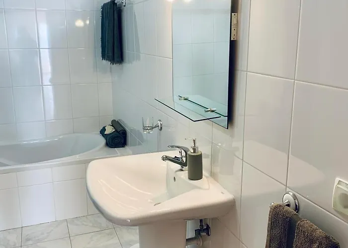 Felicidade * 阿科达卡列塔