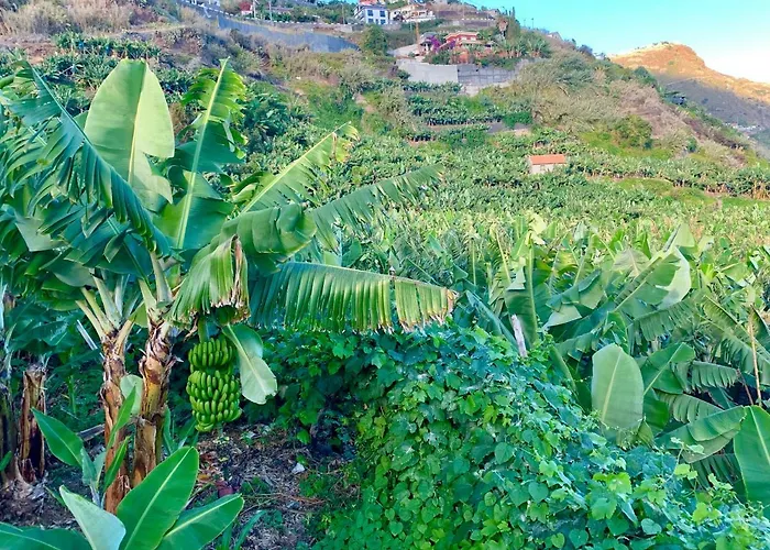 Felicidade Arco da Calheta (Madeira)