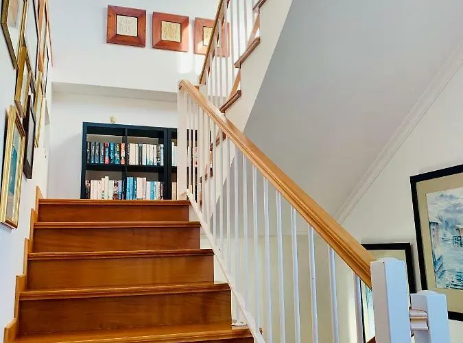 Felicidade 阿科达卡列塔